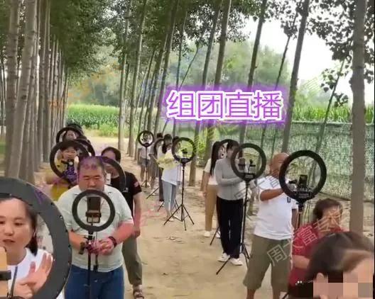 疯了，这个社会有一部分人疯了！
刚刚看到一条消息，河南某地一个村庄的人都不种地了