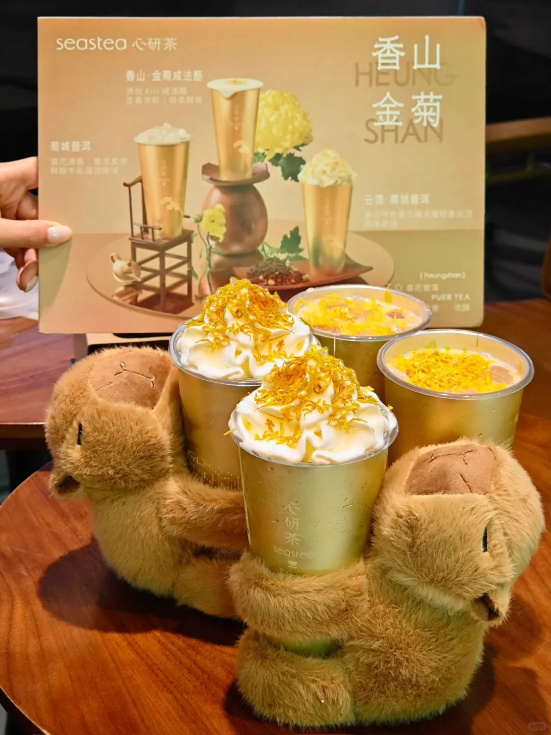小榄菊花会准备开始，和菊花法酪一起打卡吧