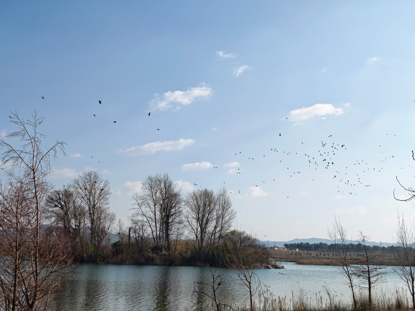 再有一个月就过年啦时间挺快，下月就要过年了。 