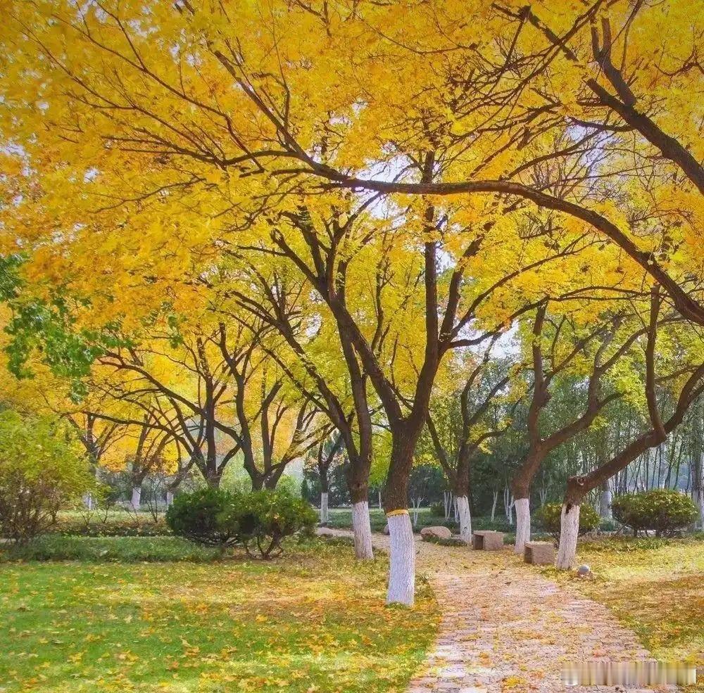 心里话         心宽路自通，眼明事皆顺；斤两之争终成空，大度之人赢未来。