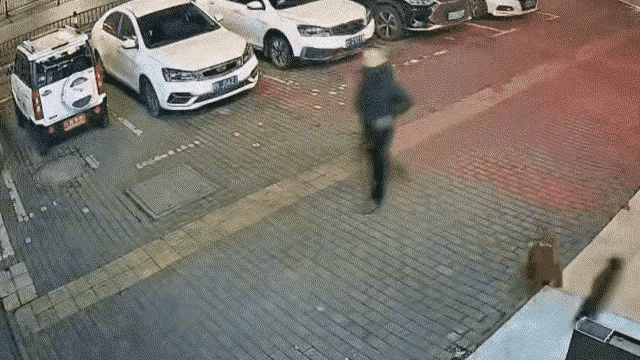 2026年江西新余首例！
遛狗不拴绳致过路人被咬伤，结果行政处罚为罚款200元，