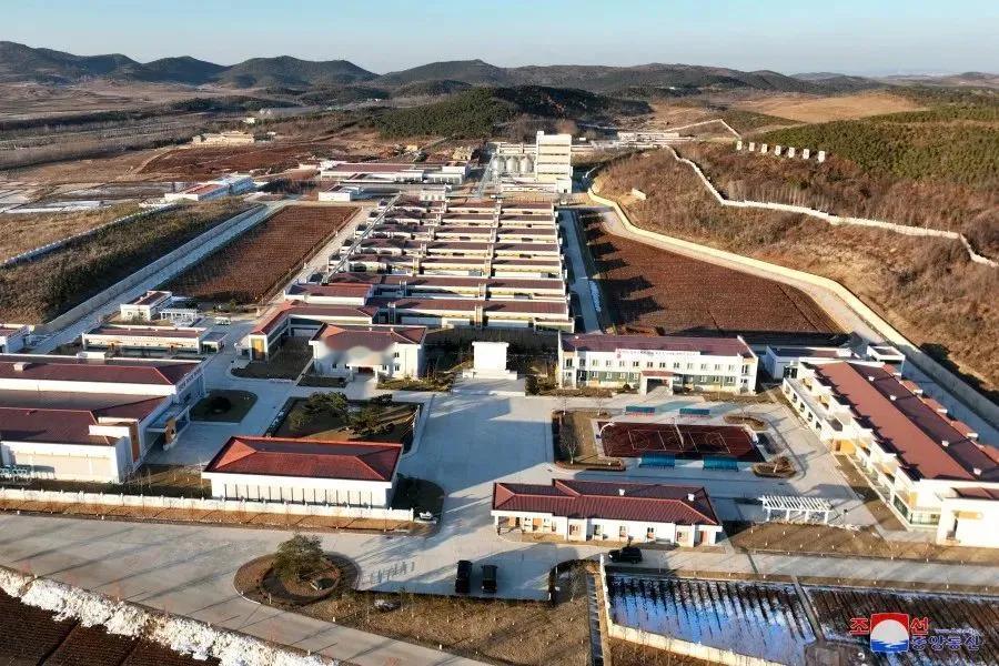 朝鲜的机械化养鸡加工厂，领导人很满意