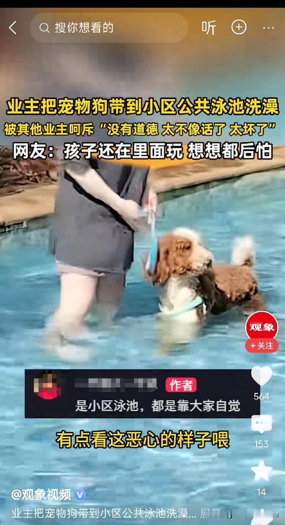 这是什么人啊！竟然把狗带到泳池里玩水，你让其他游泳的人情何以堪？整个泳池的人难道