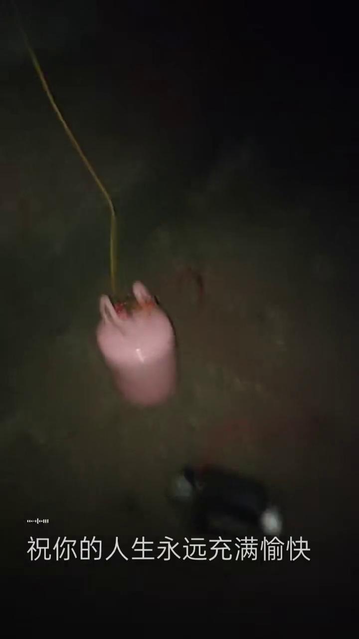 祝你精彩，祝你万事如意发大财，每天都有幸福的气派。祝你风风光光名扬四海，你若盛开