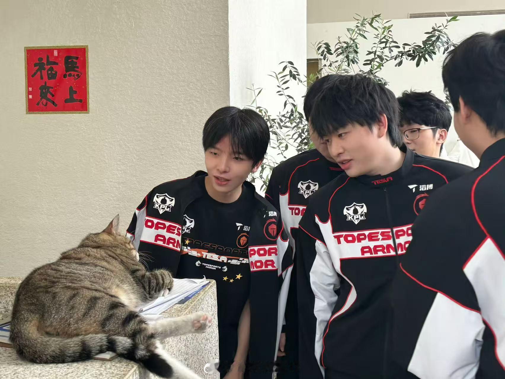 TES年总新队服TES年总新款队服亮相，黑白红配色简约利落，围着小猫，是考虑要不