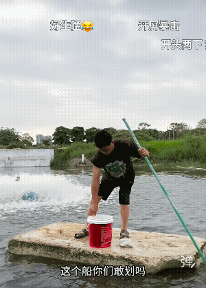 今天过来放我们家的蓝龙虾小苗!