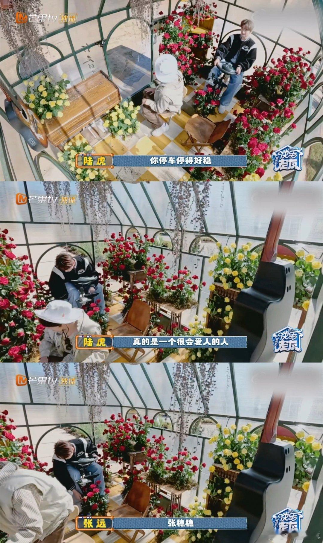 陆虎 张远是一个很会爱人的人陆虎和张远两个人的互动好好玩哈哈哈哈 