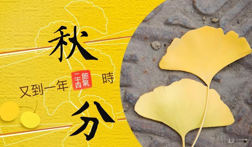 提前通知，
大家都做好心理准备吧。
再过10天，也就是9月23号早上8点04分5