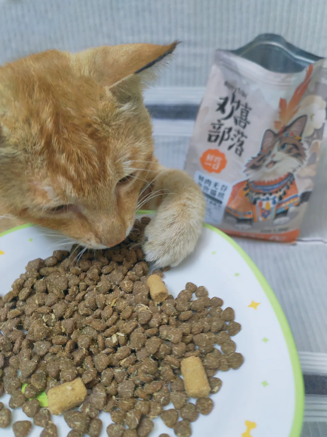 谁能拒绝馋兮兮的小猫！