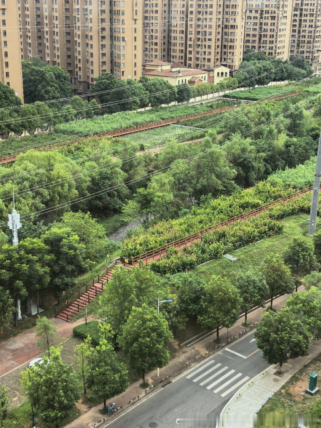 喜欢厨房的窗景