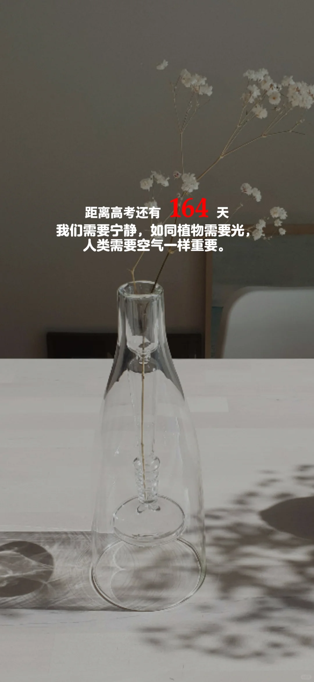 2025高考倒计时，每日更新。