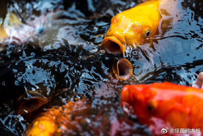 秒转 从今天起，迎接你的只有好消息