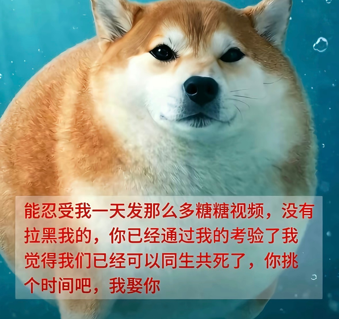 分享图片 ​​​
