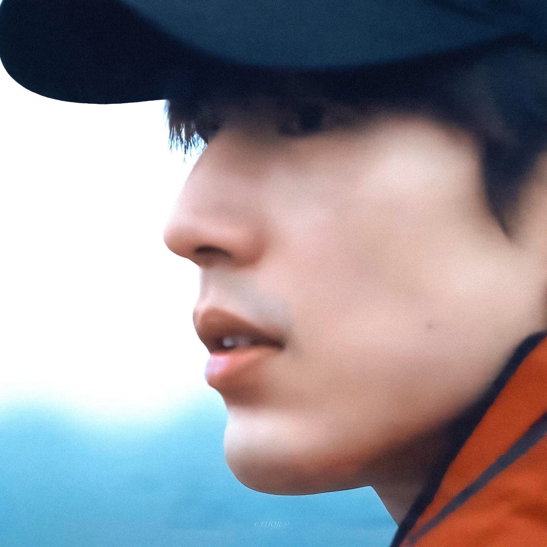 张凌赫张凌赫说纪录片更自由镜头前是张凌赫，镜头后是张家玮。他说纪录片让他做回自己