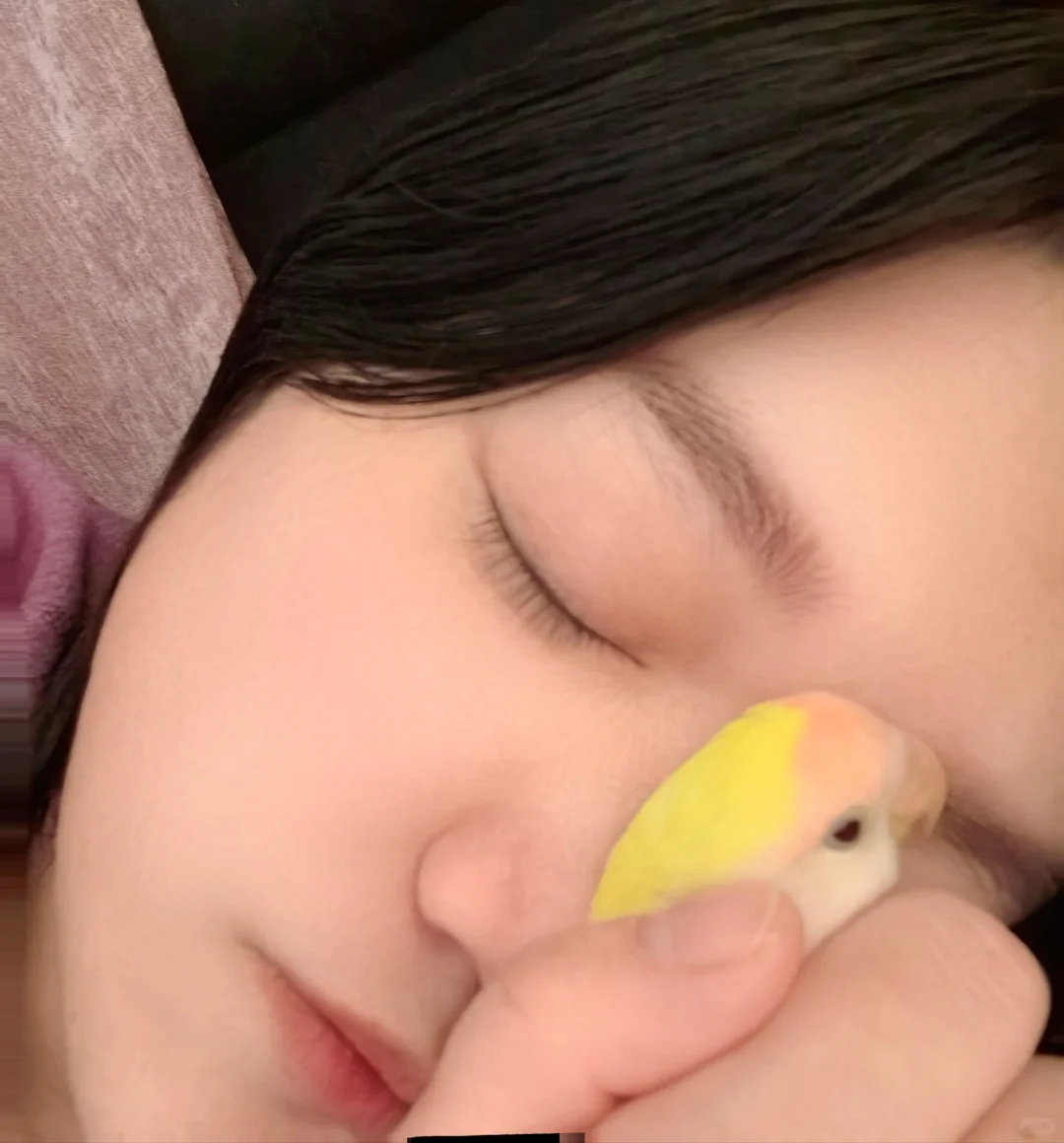黏腻着宝