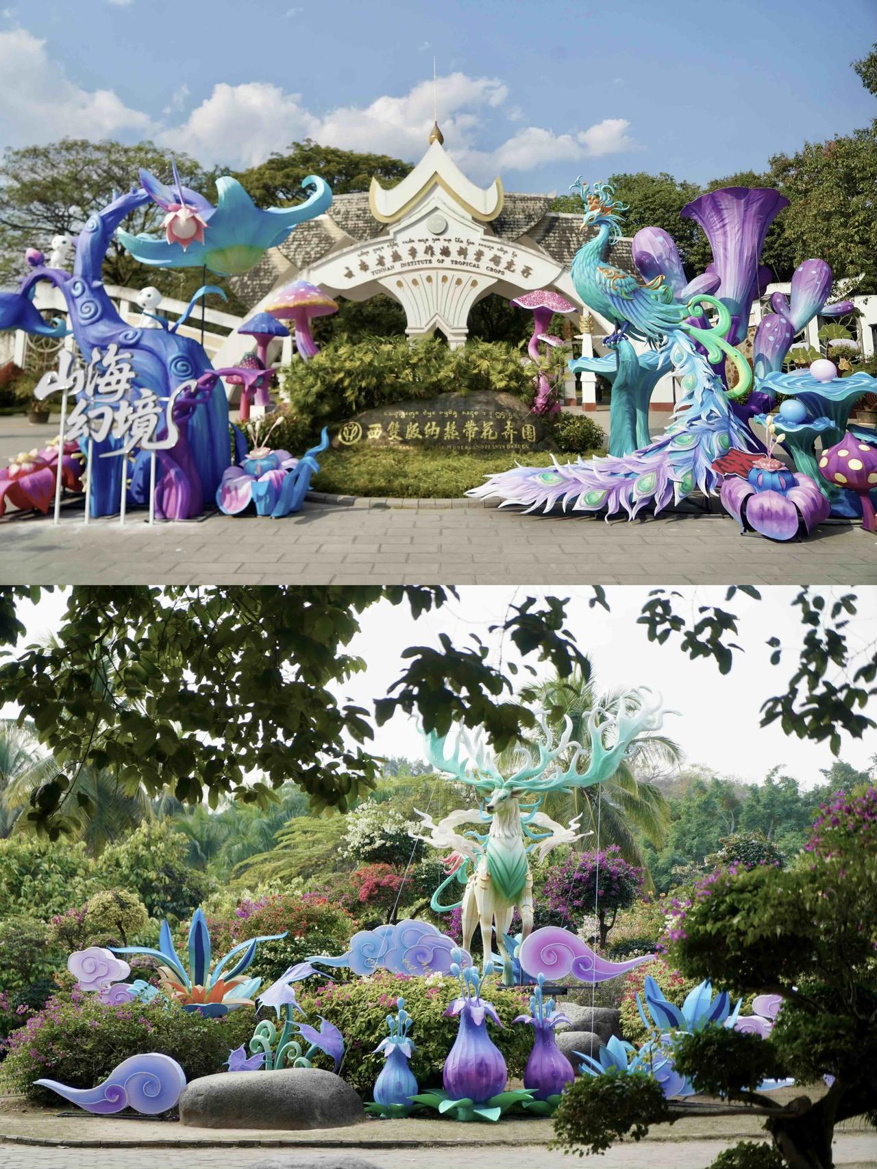 冬日生活打卡季 
魅力云南，美丽的西双版纳。