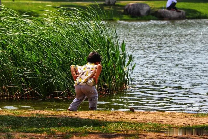 浣溪沙·童年夏日
      符进朝
槐影浓遮小院凉，
竹床摇扇避骄阳。
捉蝉拾