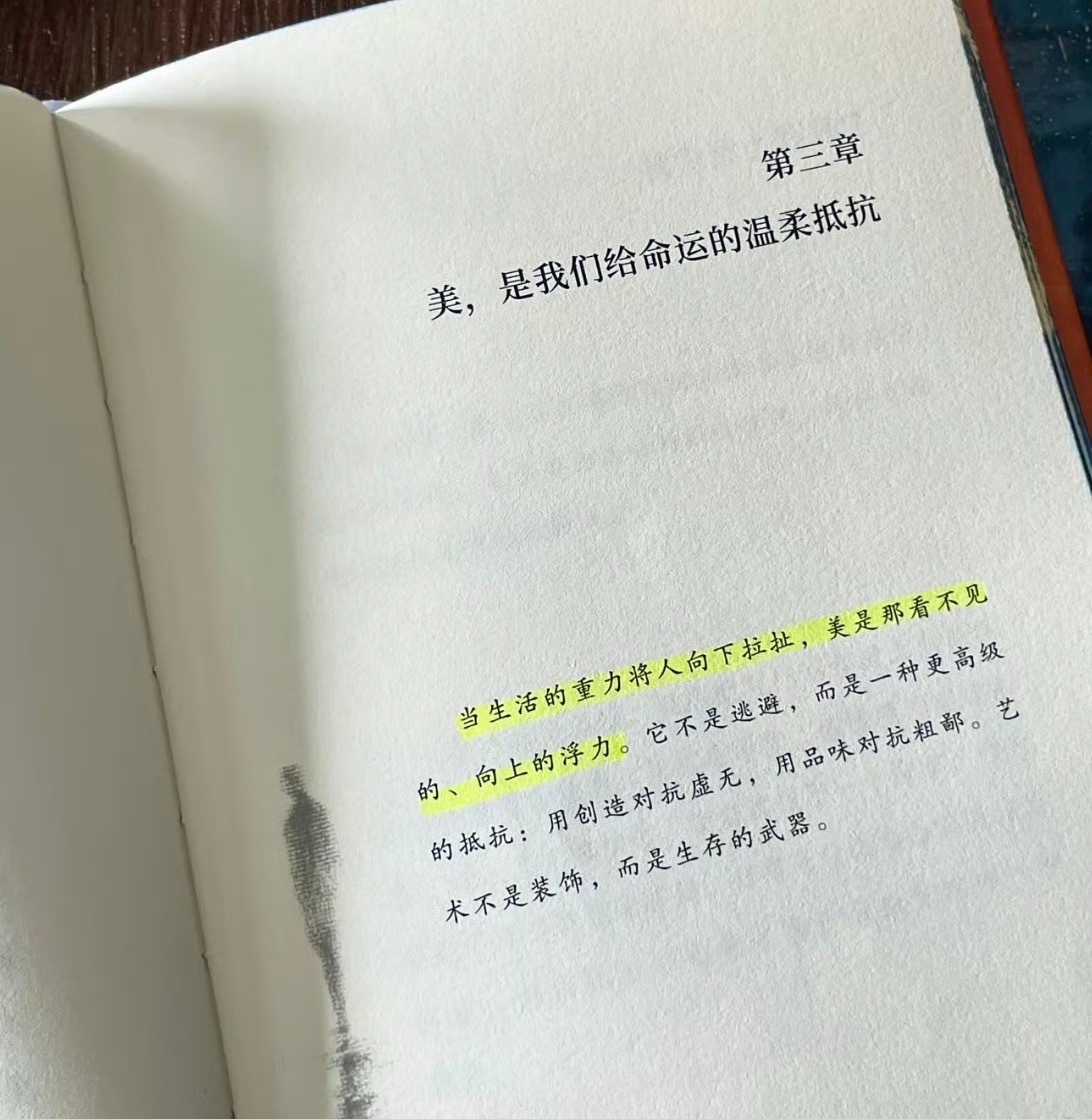当生活的重力将人向下拉扯，美是那看不见、向上的浮力。它不是逃避，而是一种更高级的