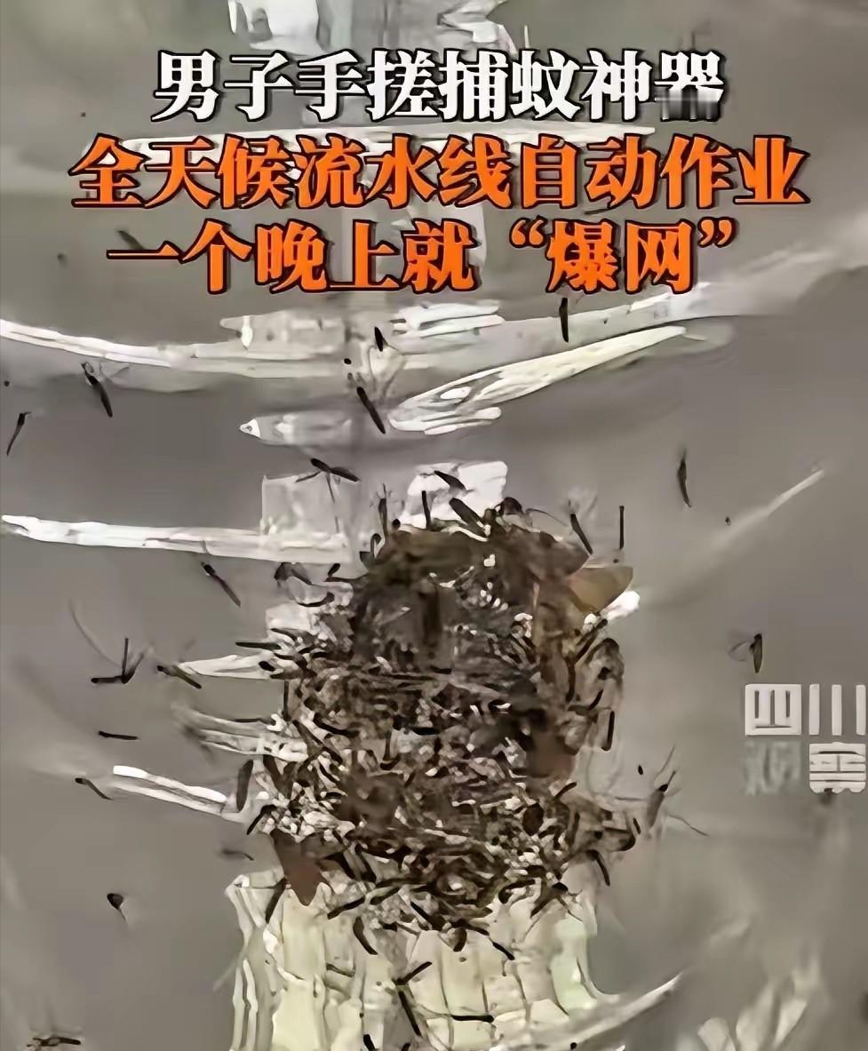 一男子被村里的蚊子叮的不胜其烦，于是灵机一动，靠着风扇加紫光灯，自制一个捕蚊神器