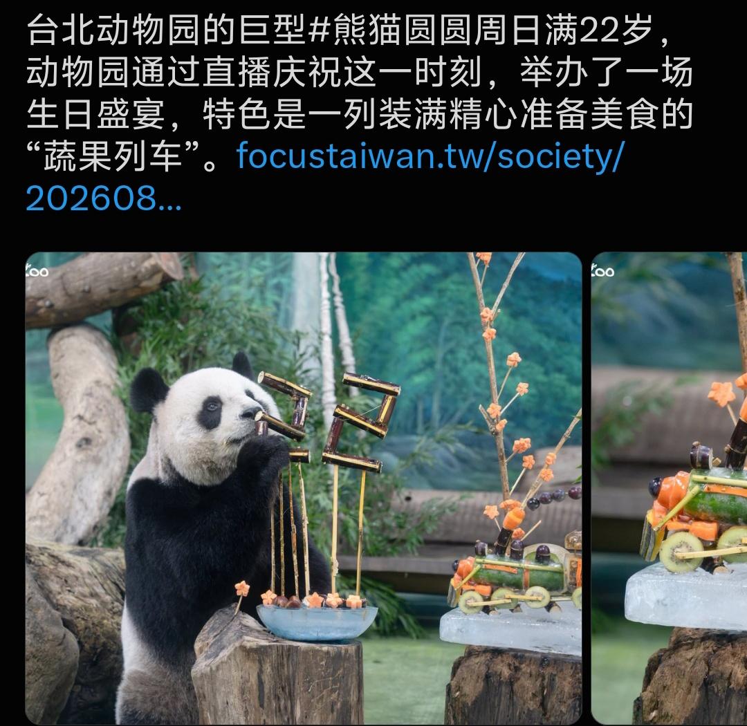 保育员专门定制了蔬果列车生日大餐
新鲜果蔬搭配竹子，还有专属22岁甘蔗造型✨
 