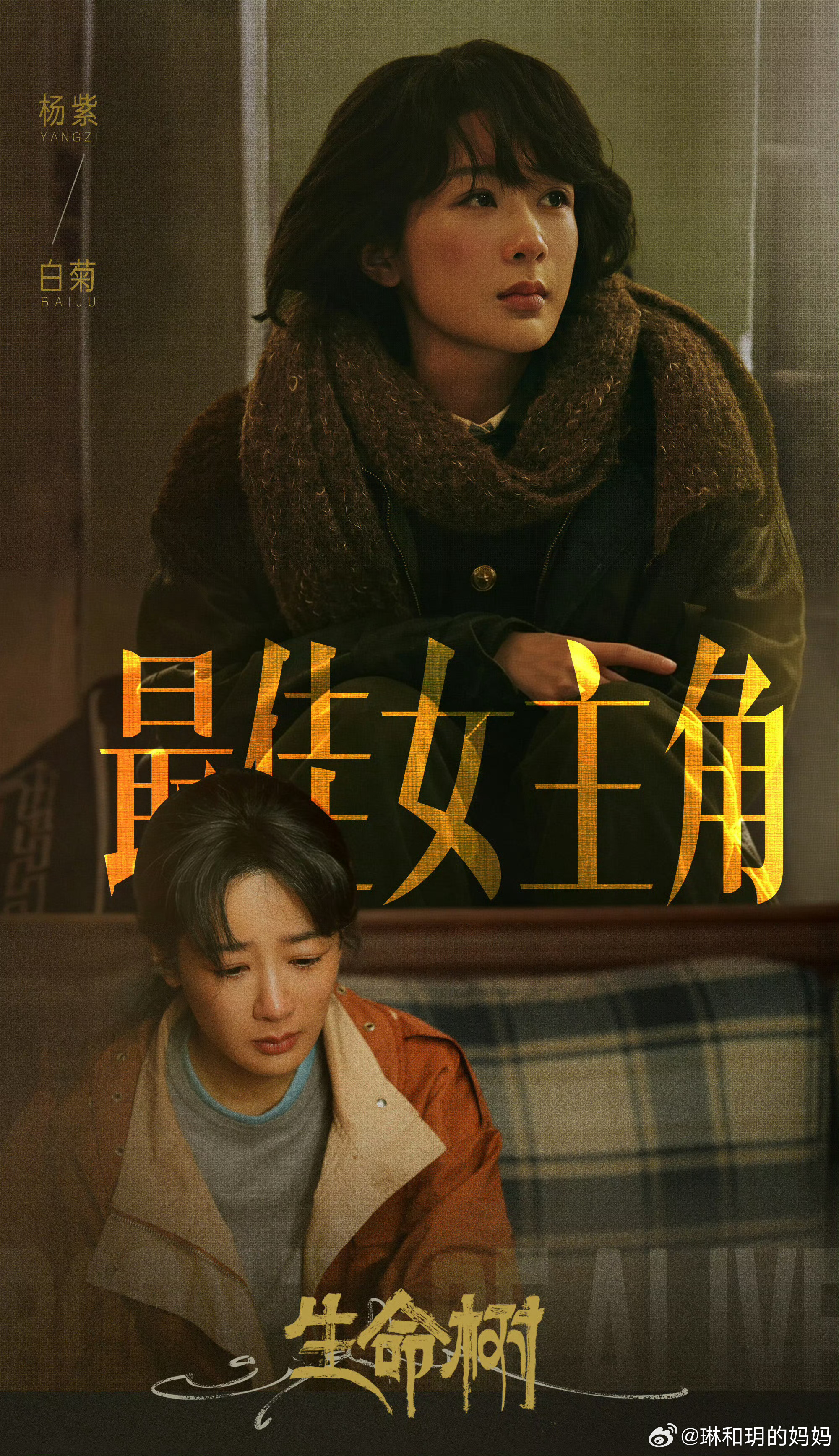 恭喜杨紫白玉兰视后，你值得 