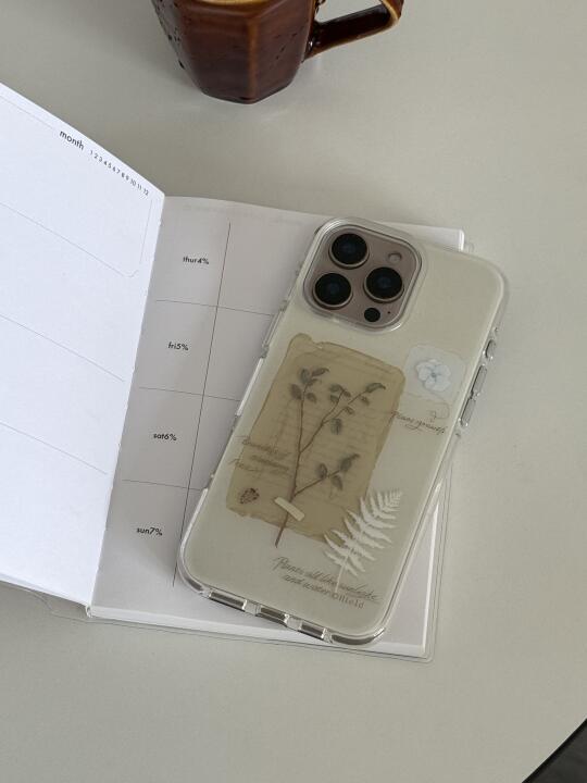 📜ᝰ 复古植物系 ✍︎꙳🍂⸝⸝⸝⸝