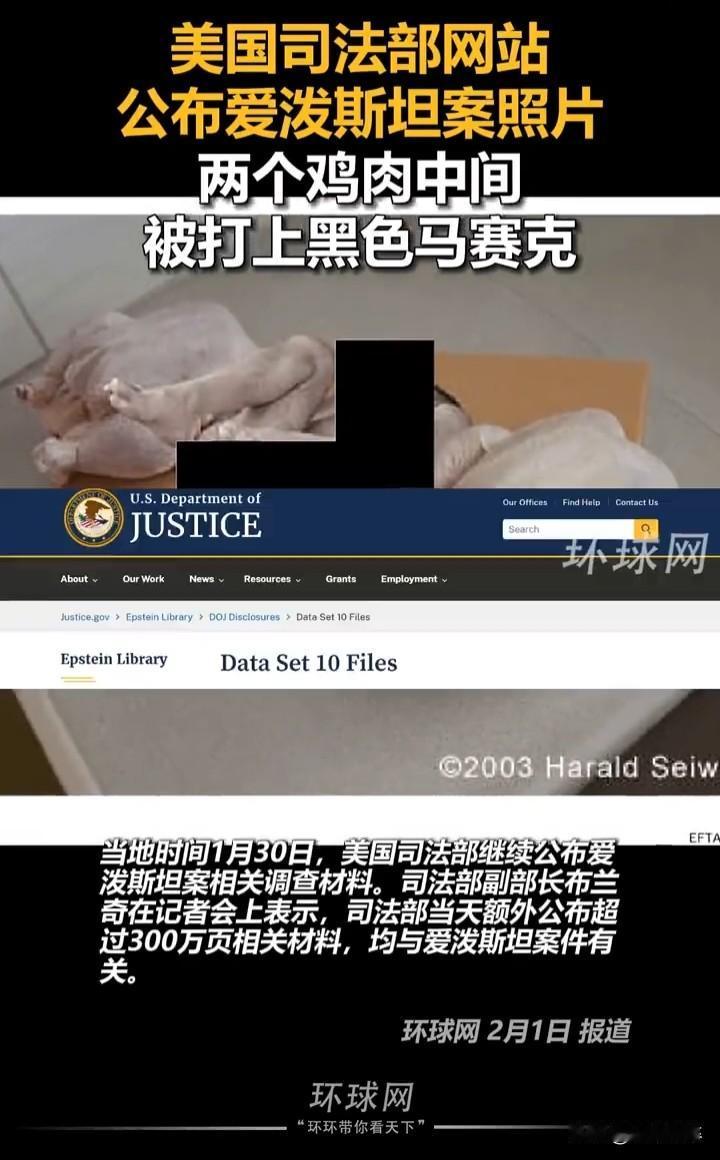 谁能解释一下这是什么东西啊😦
美国司法部2026年1月30日公布的爱泼斯坦案文