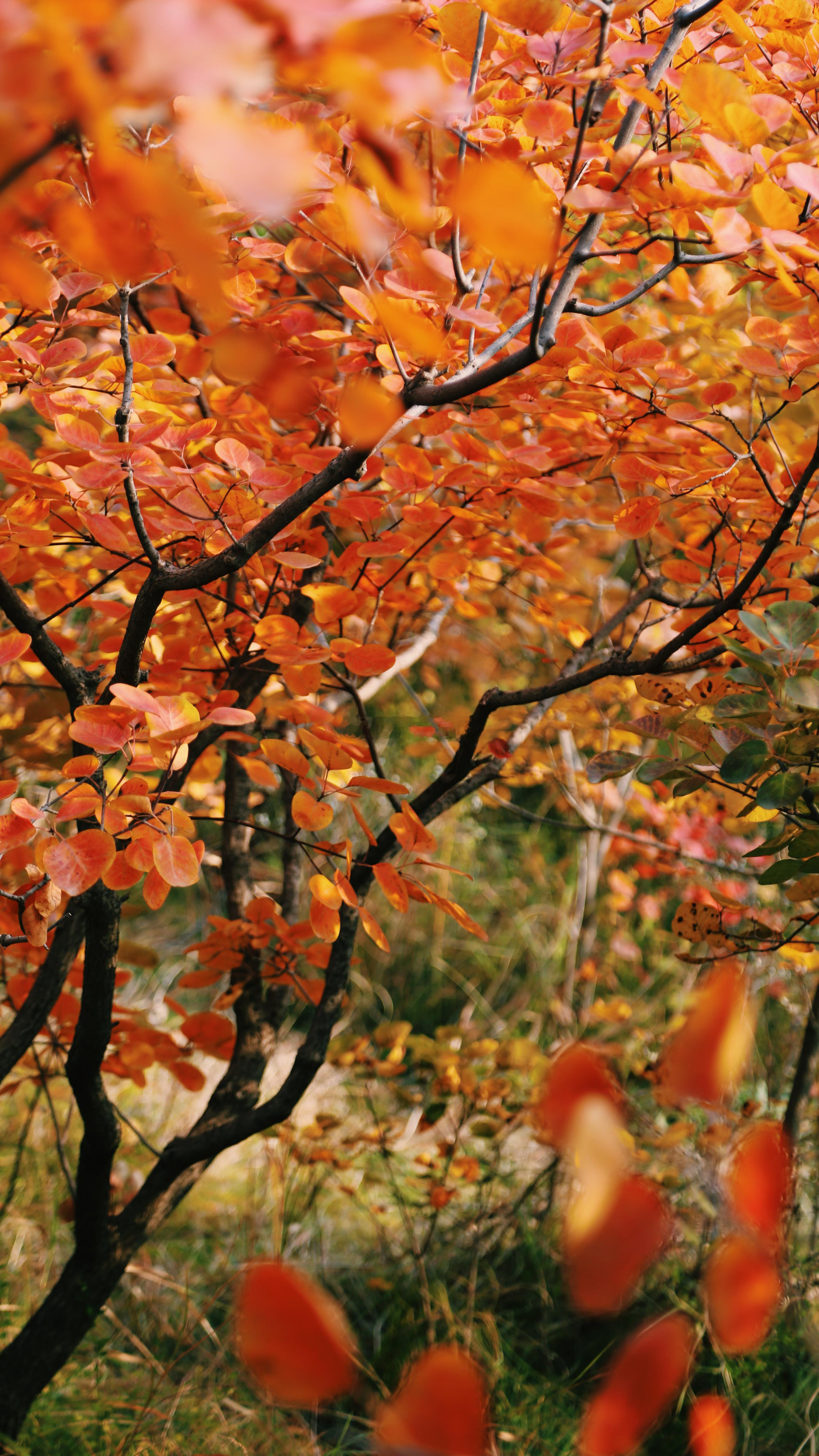北京房山·坡峰岭 用镜头定格北京最美之秋摄影​​​