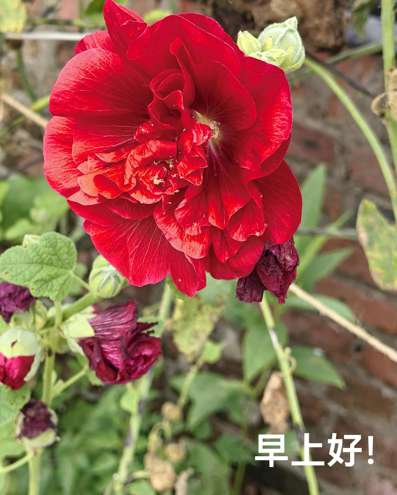 酷暑盛夏热时长，耐心等待秋风凉；心平气和慢慢过，防暑降温多提防；悠闲自得度盛夏，