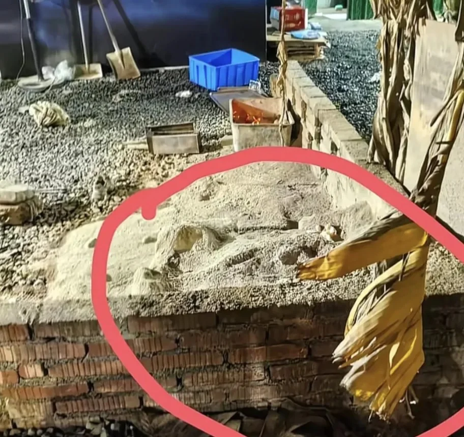 三岁男孩烧烤店掉进炭火堆，何人之过？