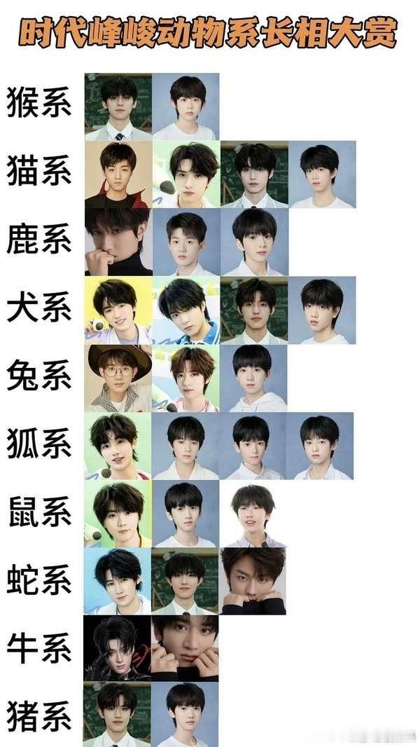 时代峰峻动物系长相分类 你们觉得正确吗？[流鼻血] ​​​
