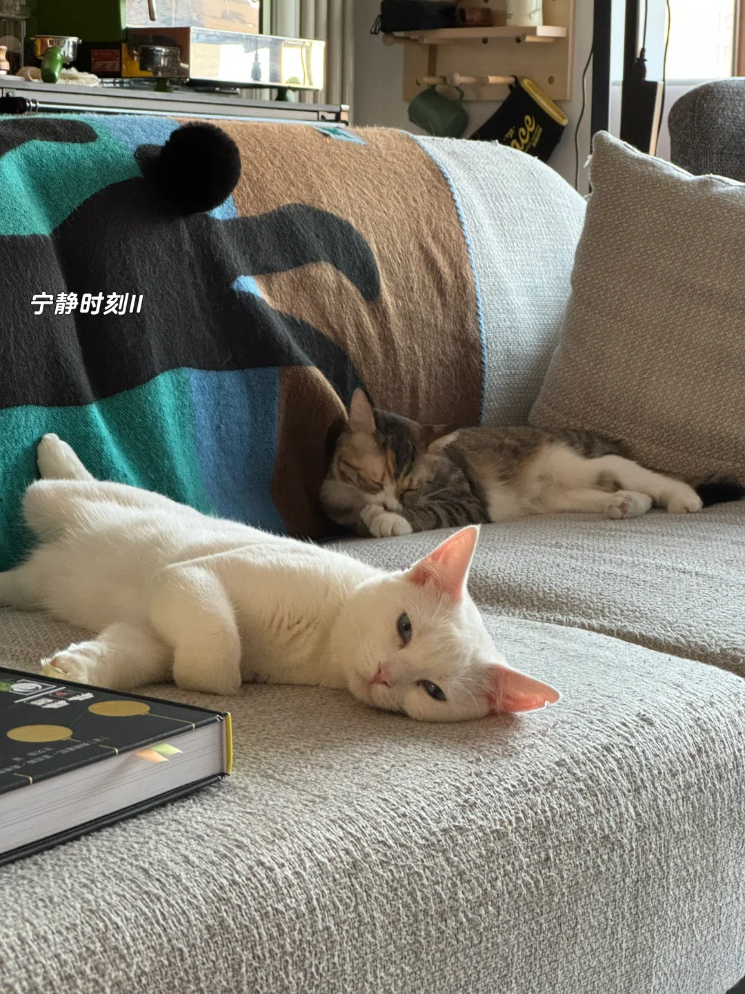 现充的日子，差点忘记的生活如此精彩✨