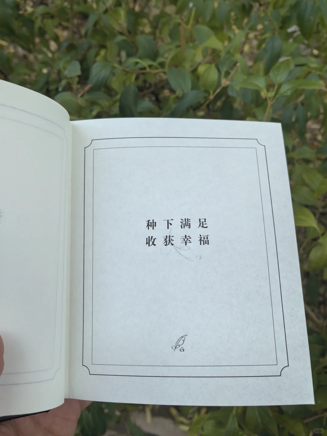 《答案之书》：一本神奇的解答之书