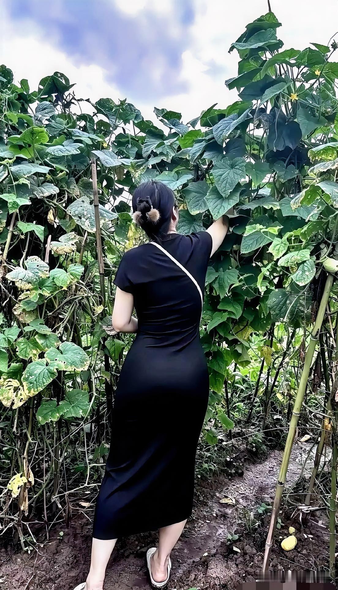 亚姨说，她每星期六日都回乡下娘家，看望年老的父母，她认为，父母已70多岁了，见面