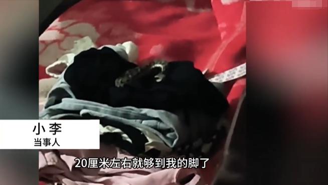 “上辈子积德了！”河南平顶山，一女子半夜被父亲敲窗叫醒，等起身下床时，竟看到1米