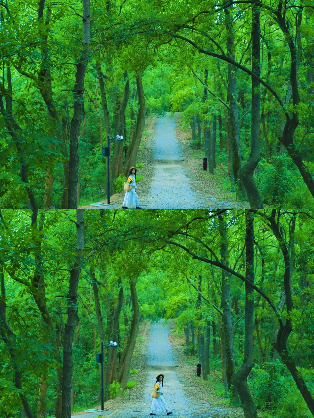 闯入长沙一处爱丽丝梦游秘境🌿