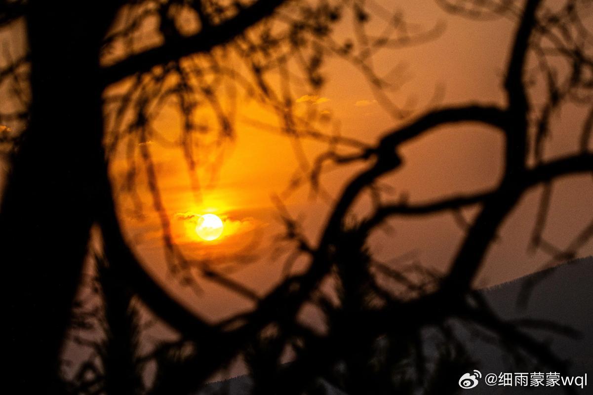 适时地让自己走出去，与陌生人友善地微笑(▰˘◡˘▰)，你再优秀也有人对你不屑一顾