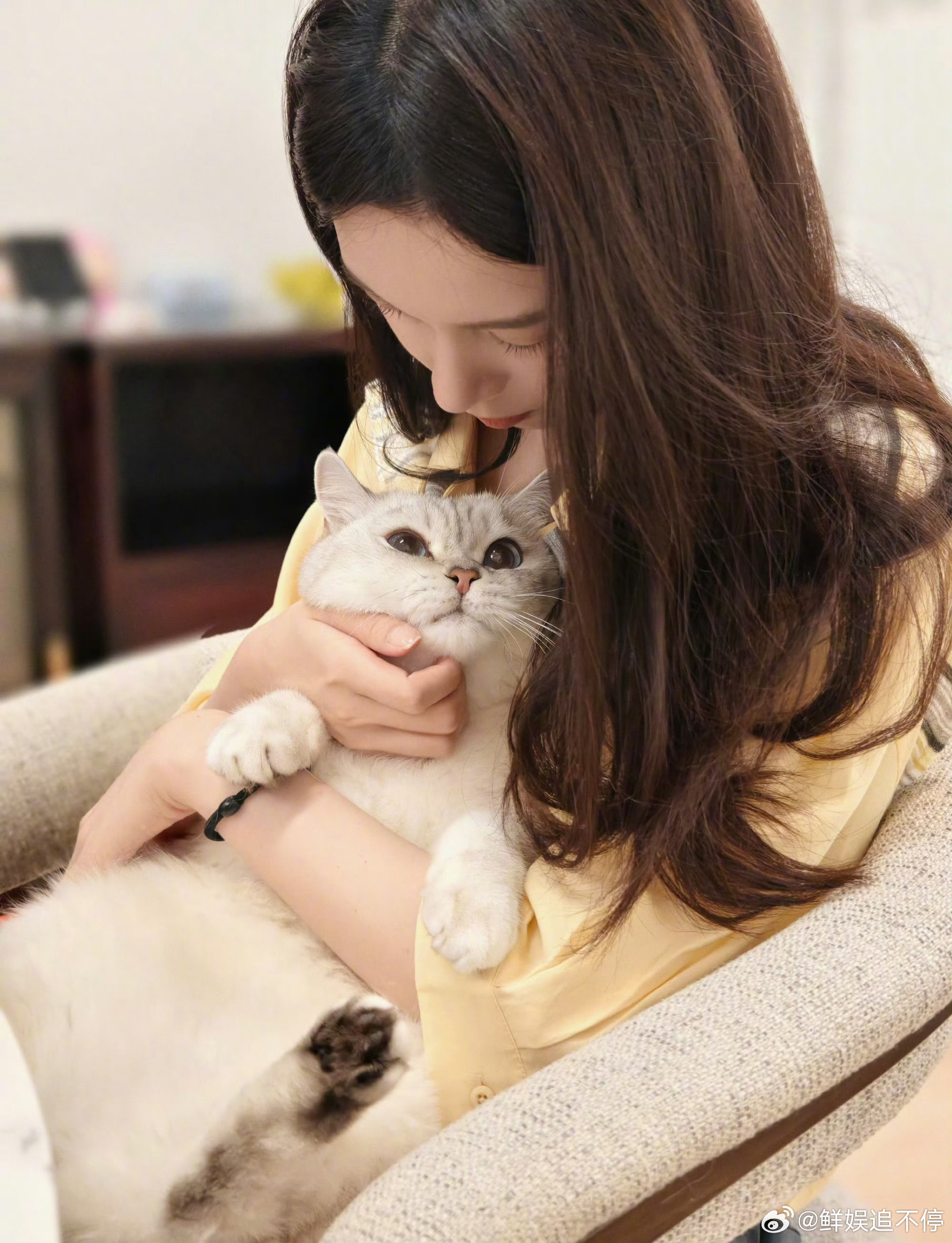 陈瑶晒猫小呼好乖 ​​​