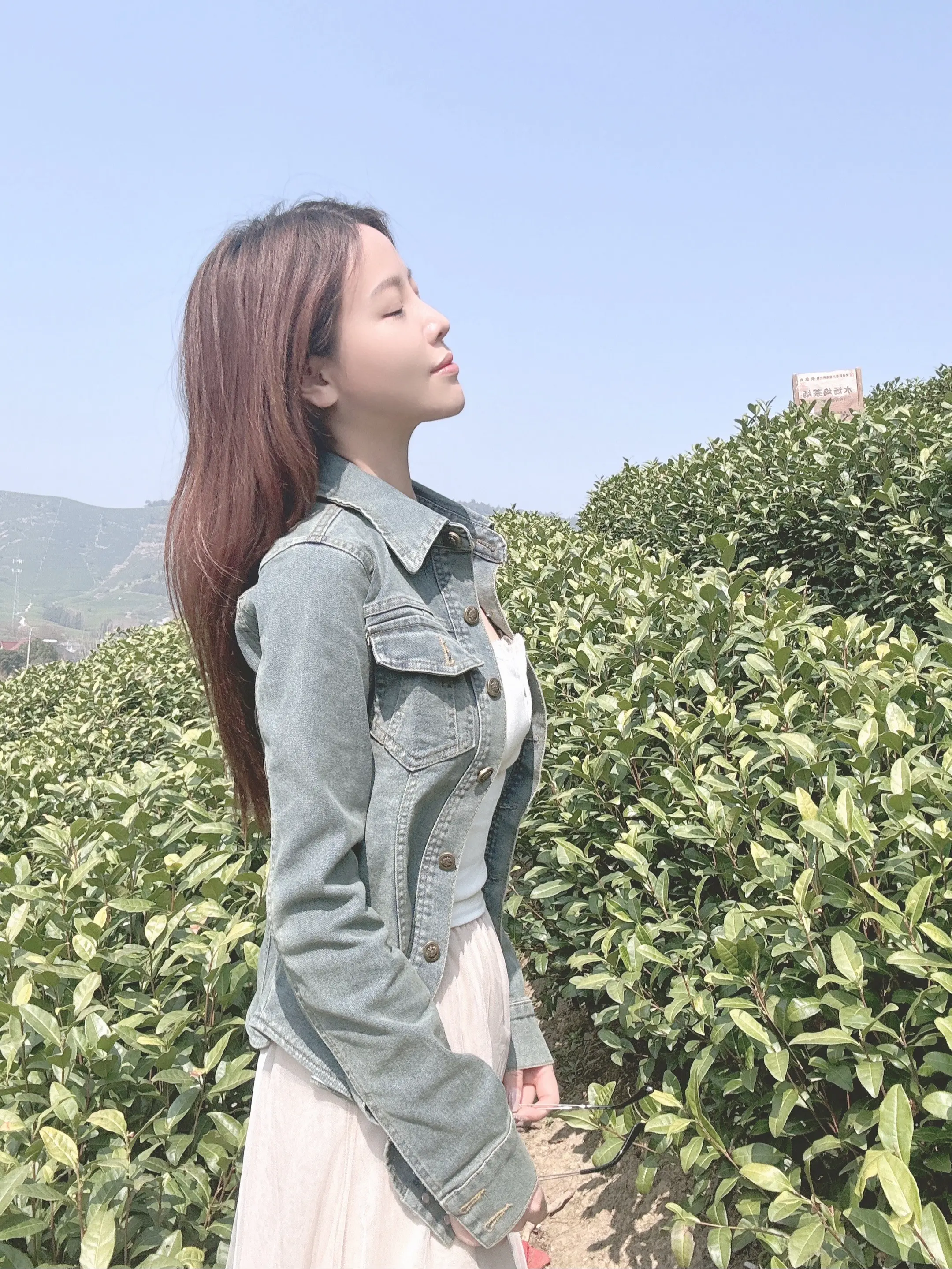 很喜欢这组照片和这个歌。你喜欢什么。？