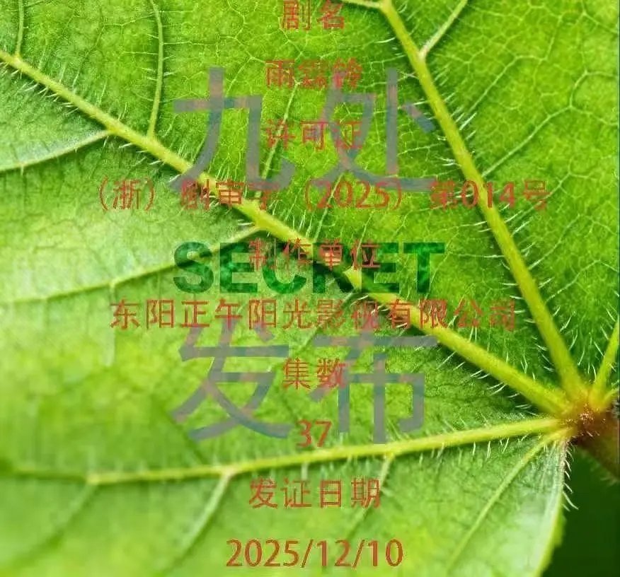 杨洋展昭传雨霖铃过审了 一共37集 