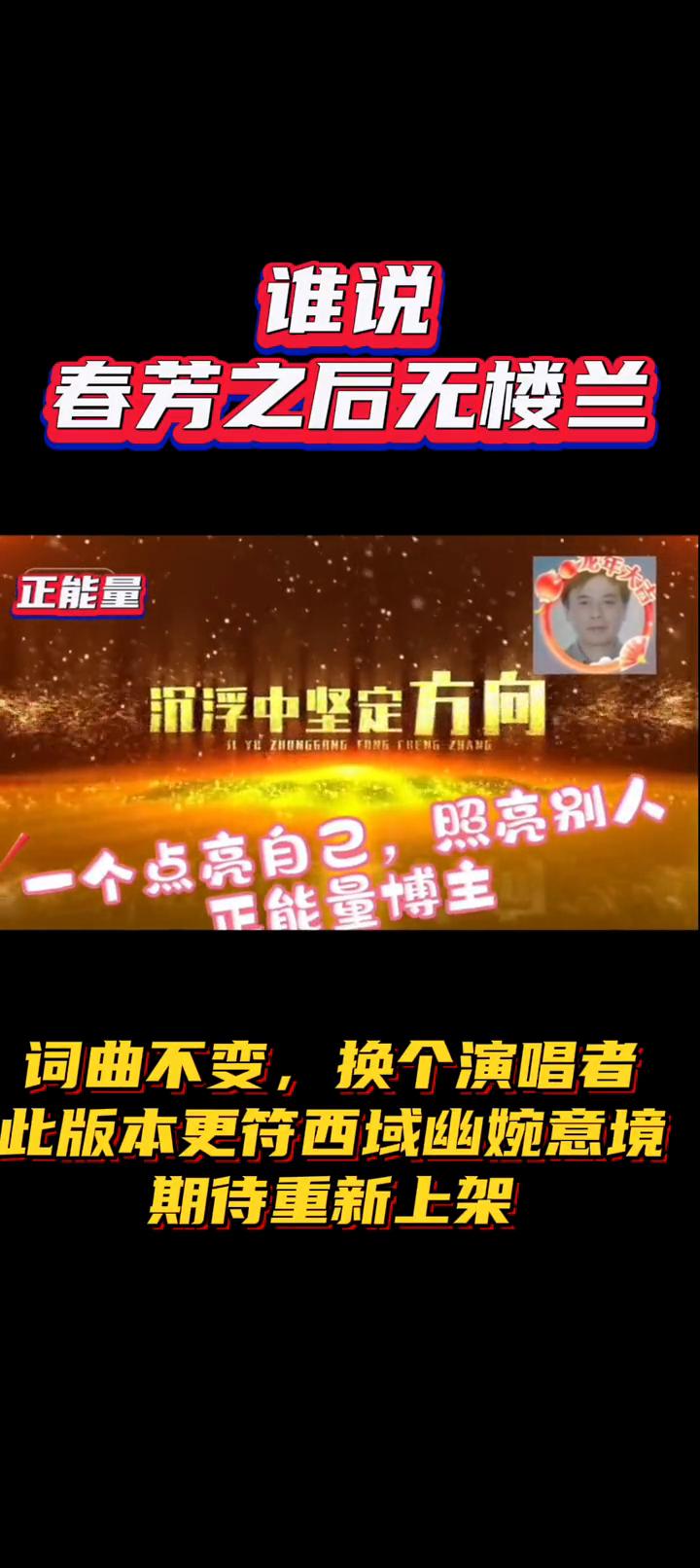 谁说春芳之后无楼兰，词曲不变，换个演唱者，此版本更符西域幽婉意境，期待重新上架。