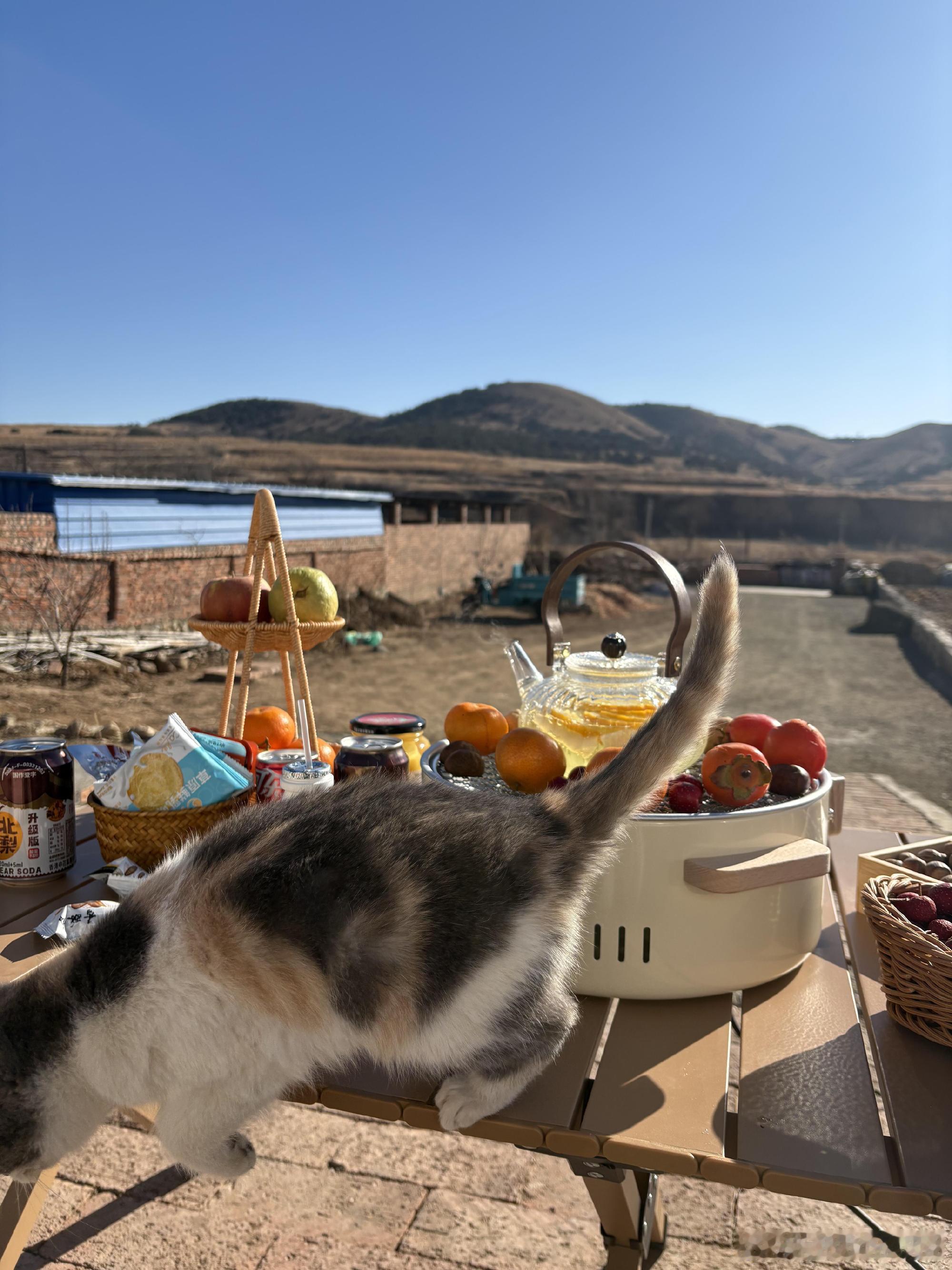 提前请假回家过年有多爽晒晒太阳，嗑嗑瓜子，和家人唠唠家常，提前回家过年简直太舒服