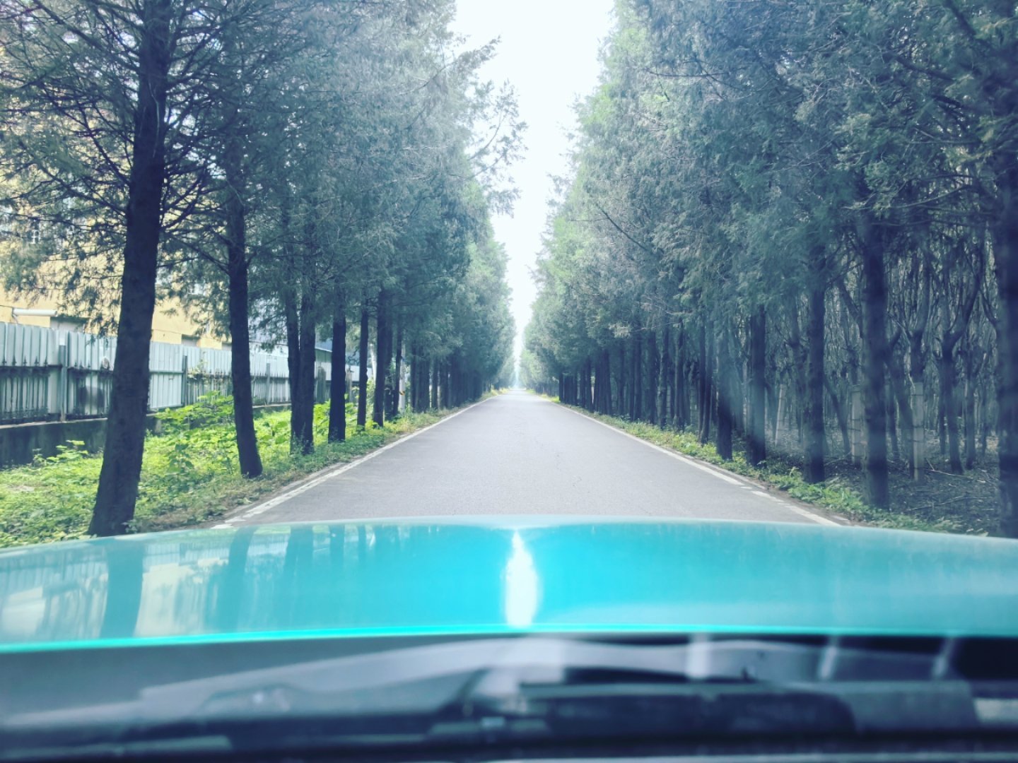 上班 又要周一了，争取经过努力，这景色真的变成我上班的路。 ​​​