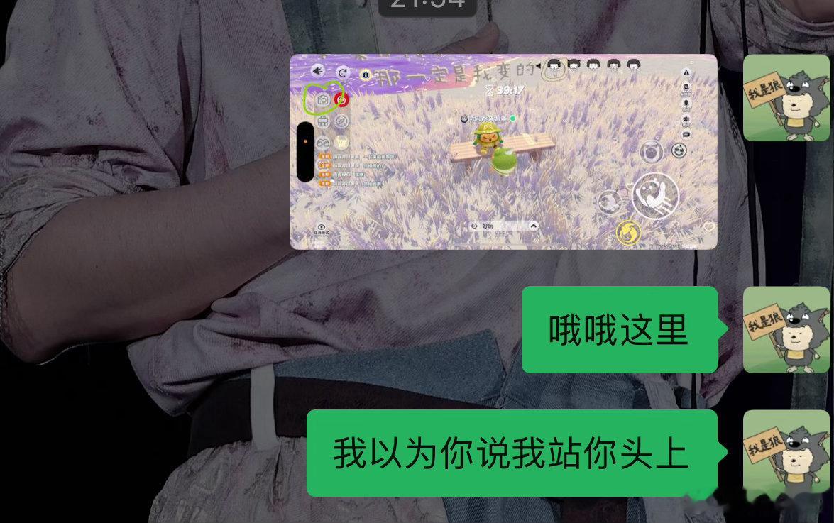 哦哦