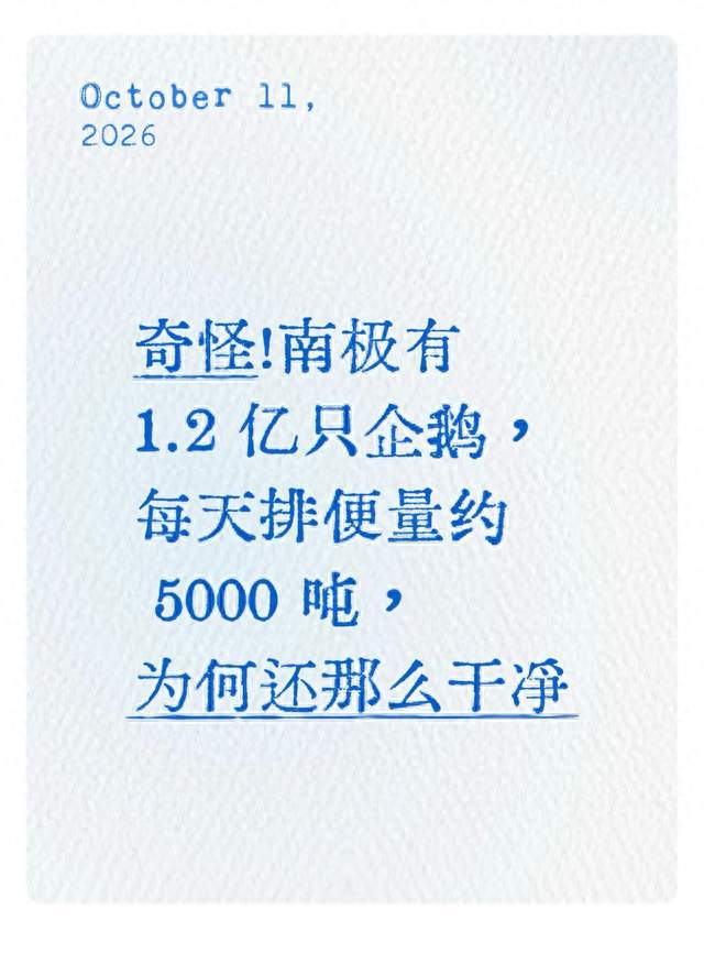 若人类全部灭绝，数亿年后，地球上有可能再次进化出人类吗？