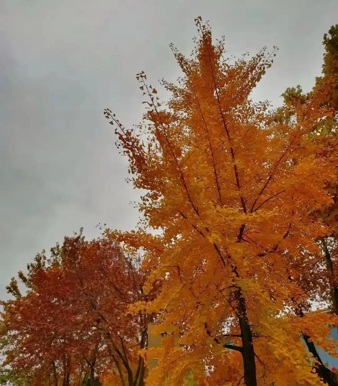 人不作死就不会早死！我小区内有一个男的昨天早上突然死了，大家都说他是把自己作死了