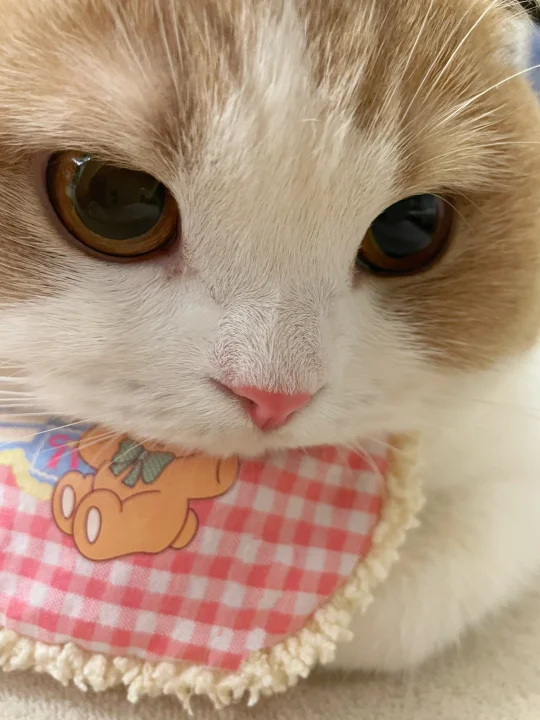 如果你睁开眼睛看着我，我就不信你两眼空空