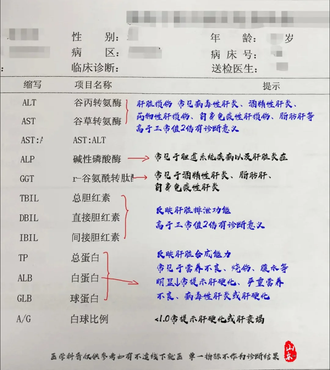 如果你的肝功能上这几项指标有箭头，可能是你的肝不好了，建议抓紧检查！