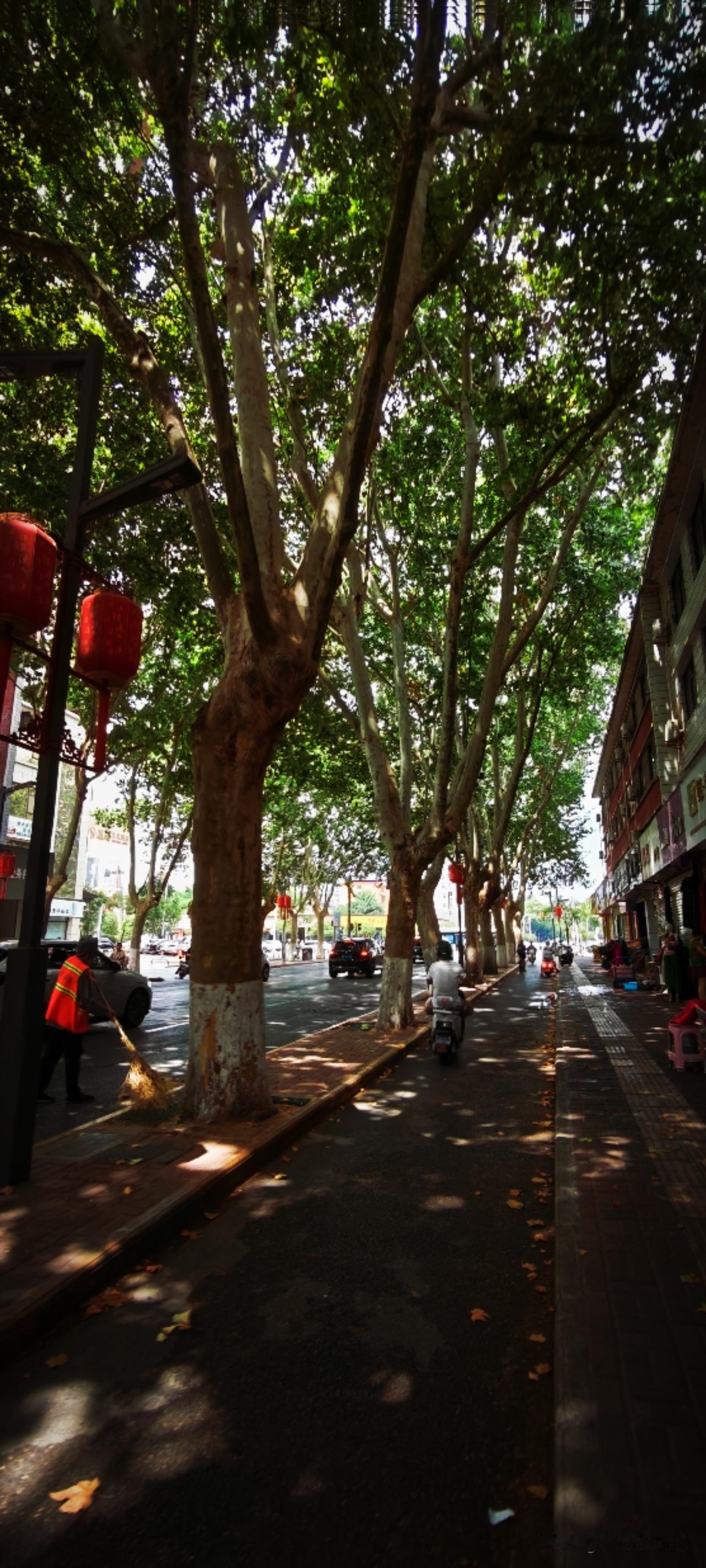 夏天，好热。绿荫接续着菜场、超市、路边水果摊，随处可见五颜六色的夏果，知了声声，