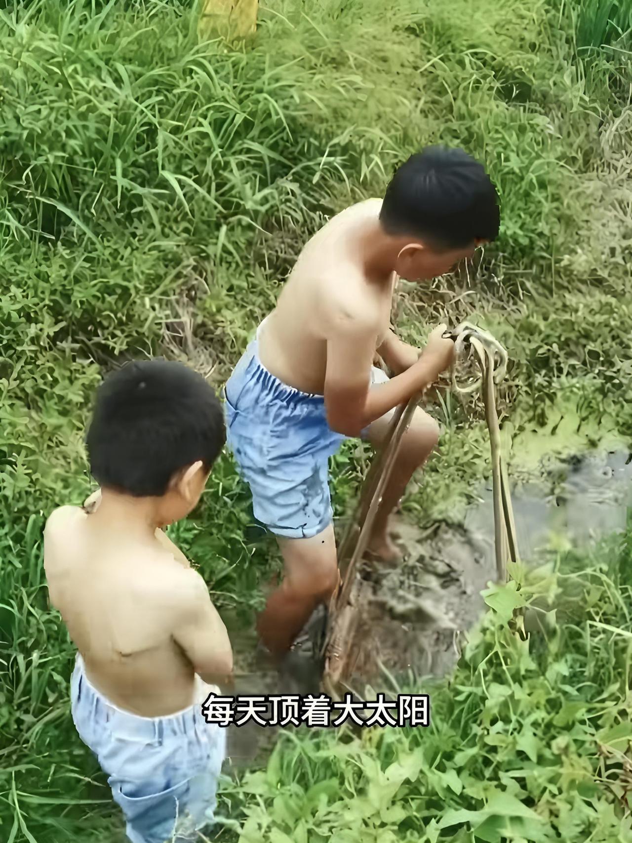 突然琢磨起一件事，咱们80，90后小时候没有手机，当年的暑假到底是咋熬过去的？我